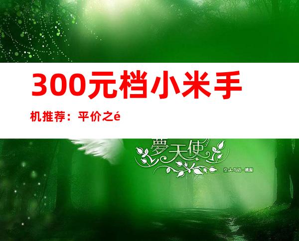 300元档小米手机推荐：平价之选，性价比出众